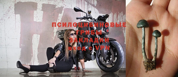 ALPHA-PVP Алексеевка