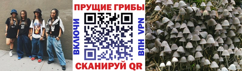 darknet состав  Пыталово  кракен ССЫЛКА  Галлюциногенные грибы MAGIC MUSHROOMS  где купить наркотик 